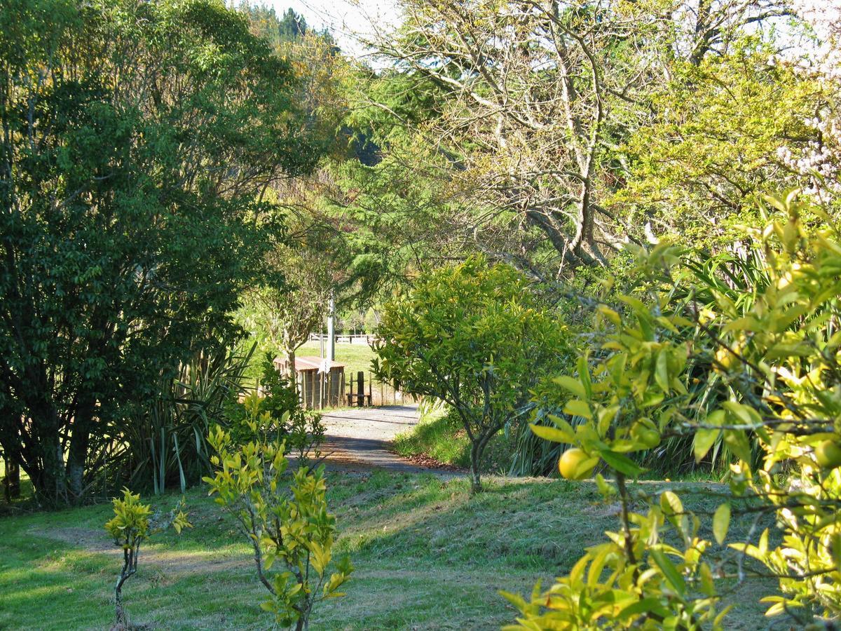 Corru Gate Villa Mapua Exterior photo